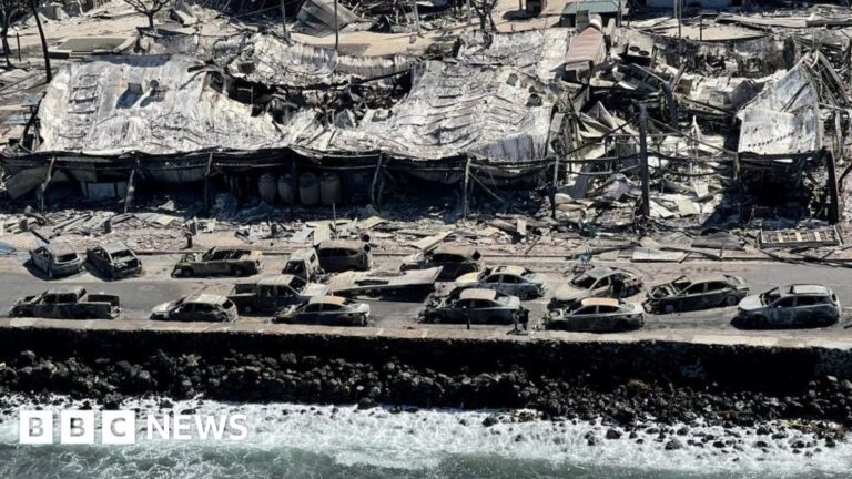 Maui fire: 93 killed as governor warns of ‘significant’ death toll rise