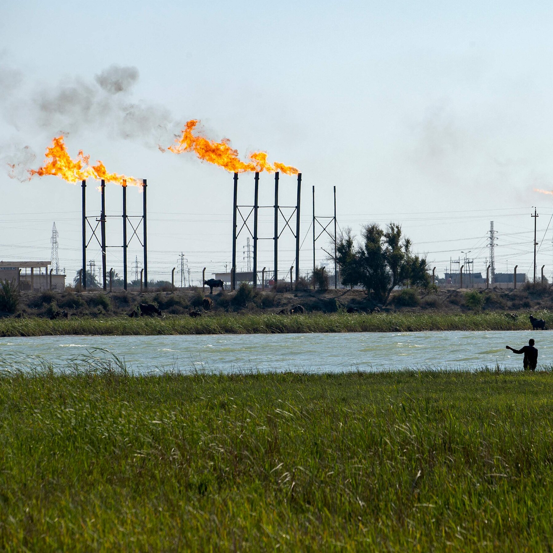 Why Are Oil Prices Falling While War Rages in the Middle East