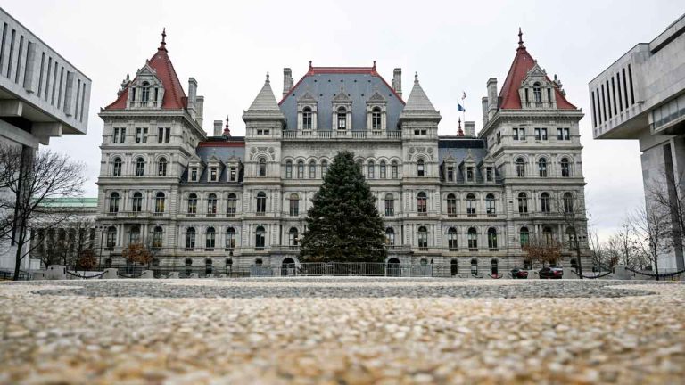 FBI arrests woman who allegedly plotted ISIS-linked attack on New York state Capitol building